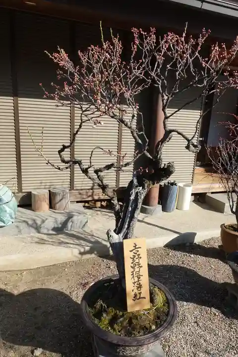 菅原天満宮(菅原神社)のその他建物