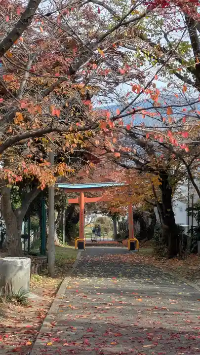 花山稲荷神社(京都府)