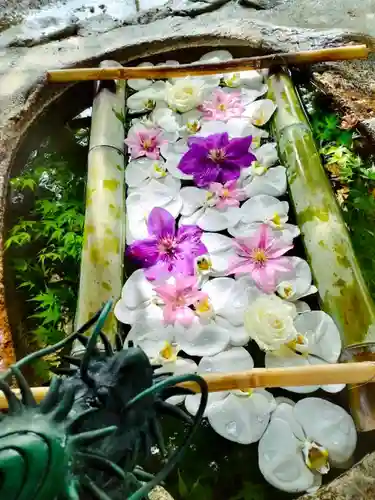 立志神社の手水舎