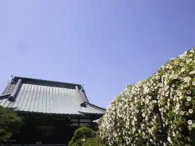 九品寺の本殿・本堂