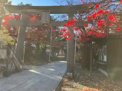 彌彦神社　(伊夜日子神社)の鳥居