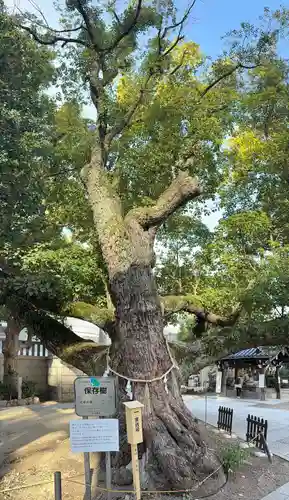難波神社(大阪府)