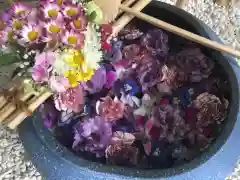 瑞玄寺の手水