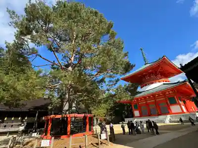 高野山金剛峯寺(和歌山県)