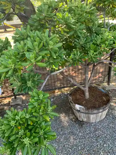 小石神社(群馬県)