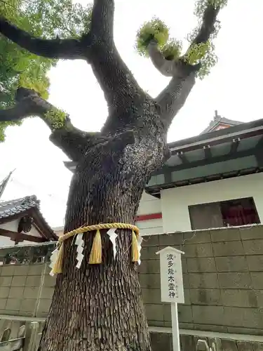 阿倍王子神社の自然