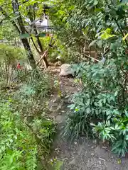 堀越神社(大阪府)