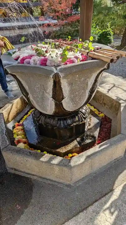 光明寺(粟生光明寺)(京都府)