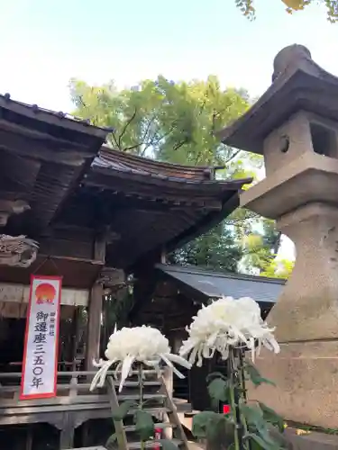 田無神社の自然