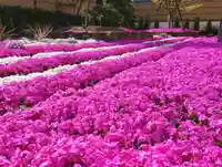 寿量山 速成寺の庭園