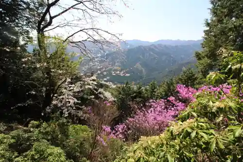 八王寺(埼玉県)