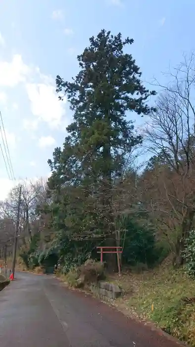 熊野神社の鳥居