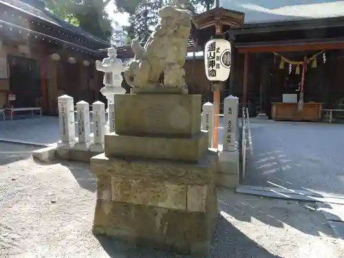 星川杉山神社の狛犬