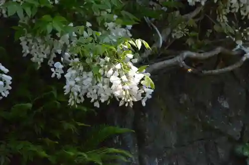 青龍山 吉祥寺(群馬県)