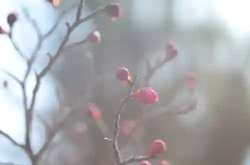 清凉寺(京都府)