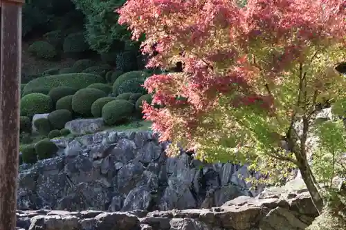 神恵院の庭園