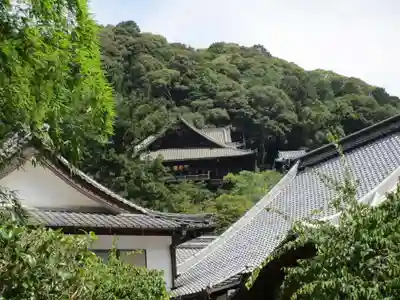 長谷寺(奈良県)