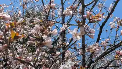 永山神社の自然