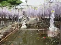 長泉寺の庭園