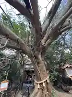 八大龍王水神(宮崎県)