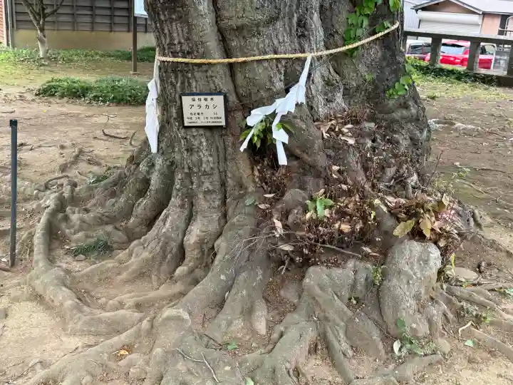 秋葉神社の{uncategorized: "未分類", other: "その他", undefined: "問題あり", building: "その他建物", grave: "お墓", sacred_gate: "鳥居", guardian: "狛犬", statue: "像", buddha: "仏像", history: "歴史", nature: "自然", garden: "庭園", animal: "動物", pagoda: "塔", temizu: "手水舎", mountain_gate: "山門・神門", sanctuary: "本殿・本堂", subordinate: "末社・摂社", art: "芸術", scenery: "景色", jizo: "地蔵", ema: "絵馬", goshuin: "御朱印", omikuji: "おみくじ", items: "授与品その他", amulet: "お守り", goshuincho: "御朱印帳", eats: "食事", festival: "お祭り", votive_dance: "神楽", shichigosan: "七五三参", wedding: "結婚式", experience: "体験その他", initially: "初詣", around: "周辺", anti_infection: "感染症対策"}