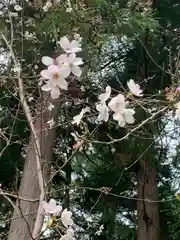 鷲神社(茨城県)