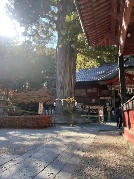 北口本宮冨士浅間神社(山梨県)