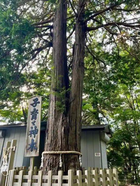 新倉富士浅間神社(山梨県)