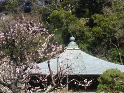 瑞泉寺のその他建物