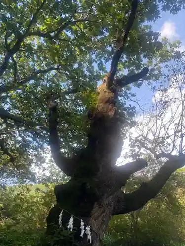 那須温泉神社(栃木県)
