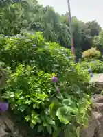 天源院(神奈川県)