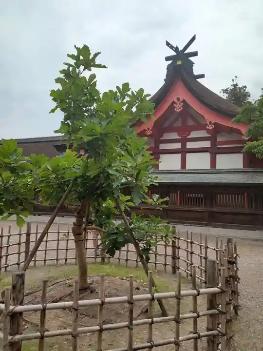 宗像大社(福岡県)