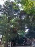 初富稲荷神社のその他建物