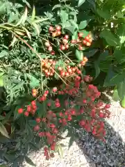 三輪神社の自然