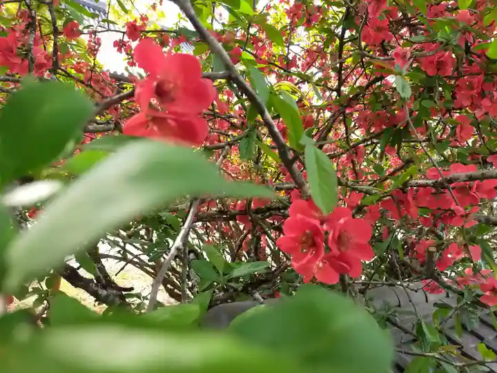 平等院(京都府)