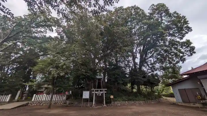 新田稲荷神社(神奈川県)