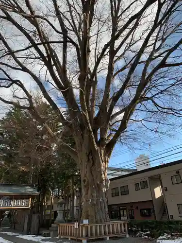 住吉神社の自然