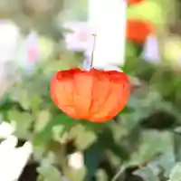 三津厳島神社の自然