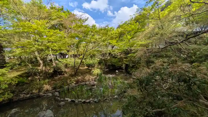 圓光寺(京都府)