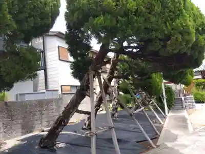 実相寺(奈良県)