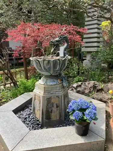 成就院の手水舎