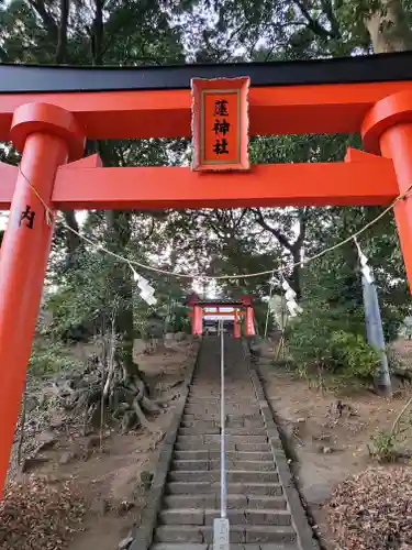 蓮神社の鳥居