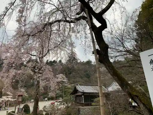 玉泉寺のその他建物