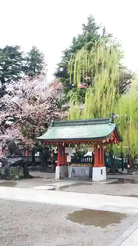 浅草神社の手水舎