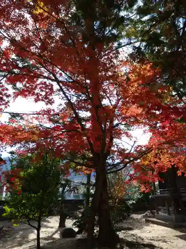深江神社(福岡県)
