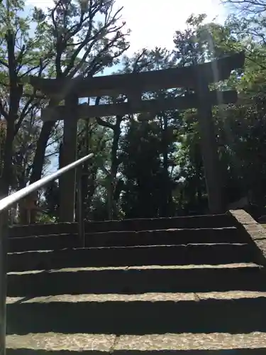 代々木八幡宮の鳥居