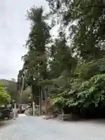 安志加茂神社の{uncategorized: "未分類", other: "その他", undefined: "問題あり", building: "その他建物", grave: "お墓", sacred_gate: "鳥居", guardian: "狛犬", statue: "像", buddha: "仏像", history: "歴史", nature: "自然", garden: "庭園", animal: "動物", pagoda: "塔", temizu: "手水舎", mountain_gate: "山門・神門", sanctuary: "本殿・本堂", subordinate: "末社・摂社", art: "芸術", scenery: "景色", jizo: "地蔵", ema: "絵馬", goshuin: "御朱印", omikuji: "おみくじ", items: "授与品その他", amulet: "お守り", goshuincho: "御朱印帳", eats: "食事", festival: "お祭り", votive_dance: "神楽", shichigosan: "七五三参", wedding: "結婚式", experience: "体験その他", initially: "初詣", around: "周辺", anti_infection: "感染症対策"}