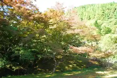 神上寺(山口県)