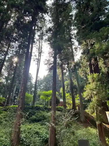 大宮温泉神社の周辺
