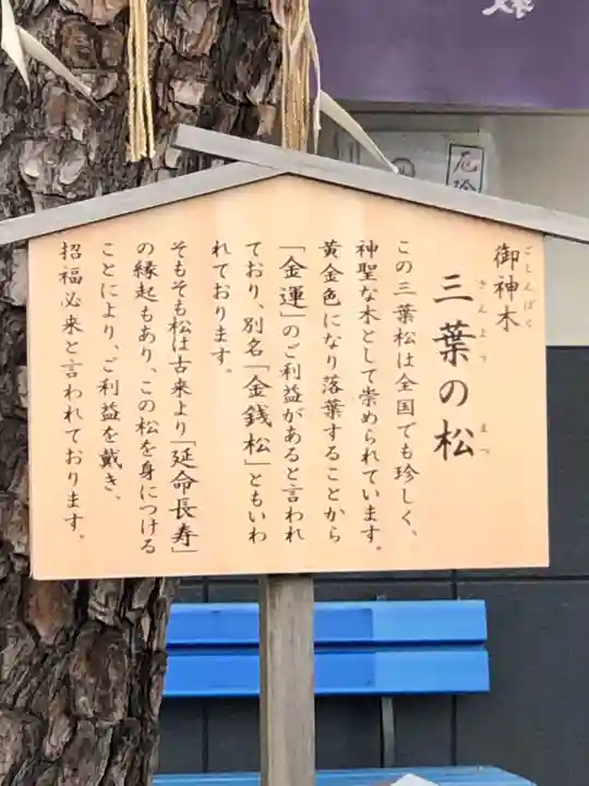 別小江神社の歴史